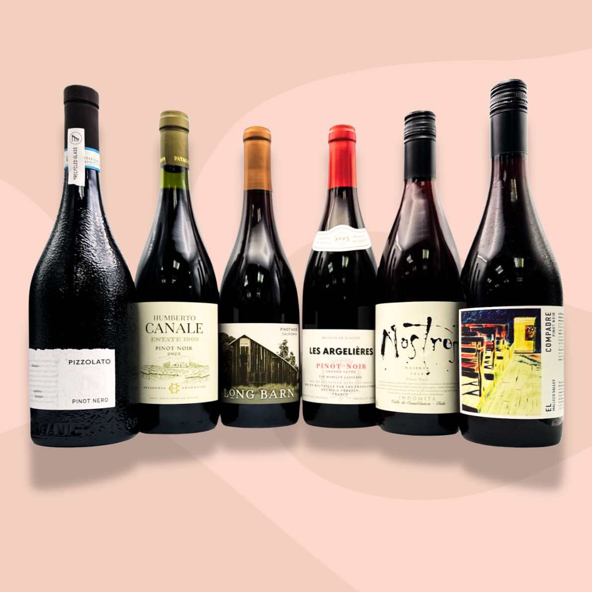 6 EVERYDAY PINOT NOIRS NO. 02 Mixed Case x 6 Bottles Image