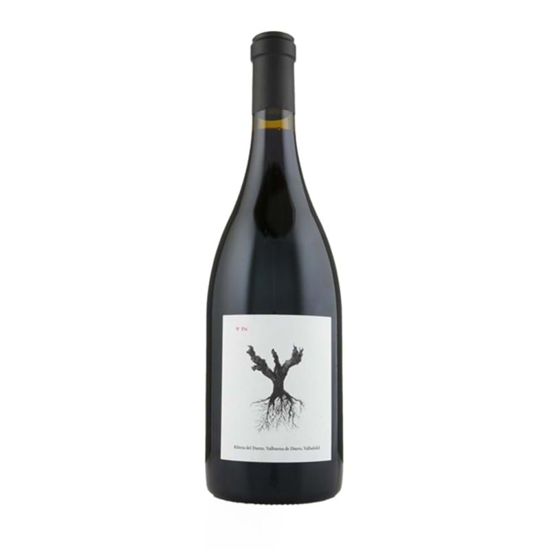 BODEGAS Y VINEDOS ALNARDO Psi 2018 Bottle/nc (Tinto del Pais/Temp) VGN Image