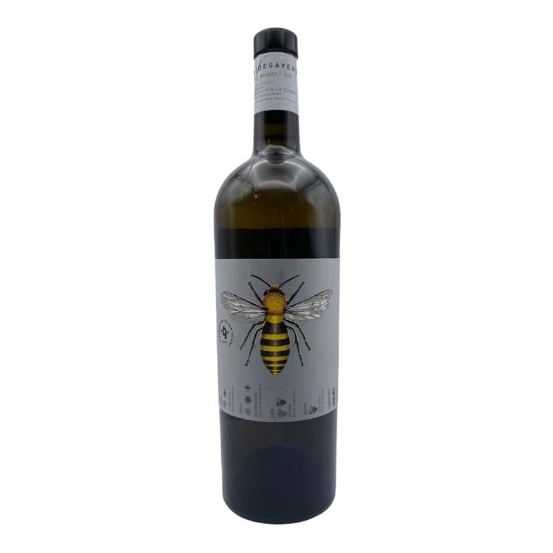 BODEGAVERDE San Valero (Bee) Macabeo DOP 2019 Bottle ORG Image
