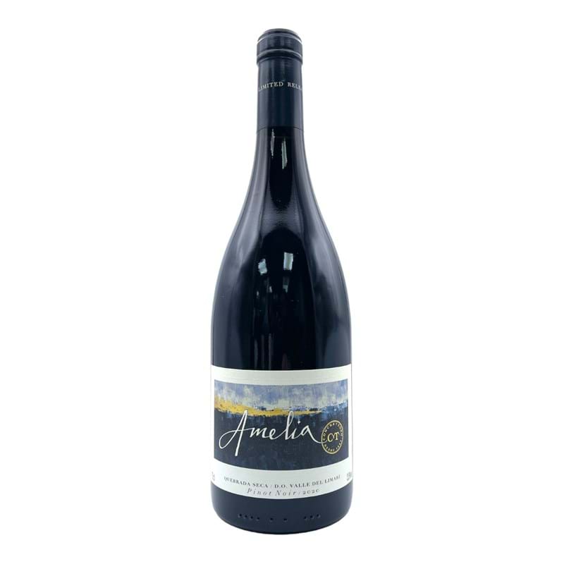 CONCHA Y TORO Pinot Noir Amelia Quebrada Seca Vineyard 2020 Bottle Image
