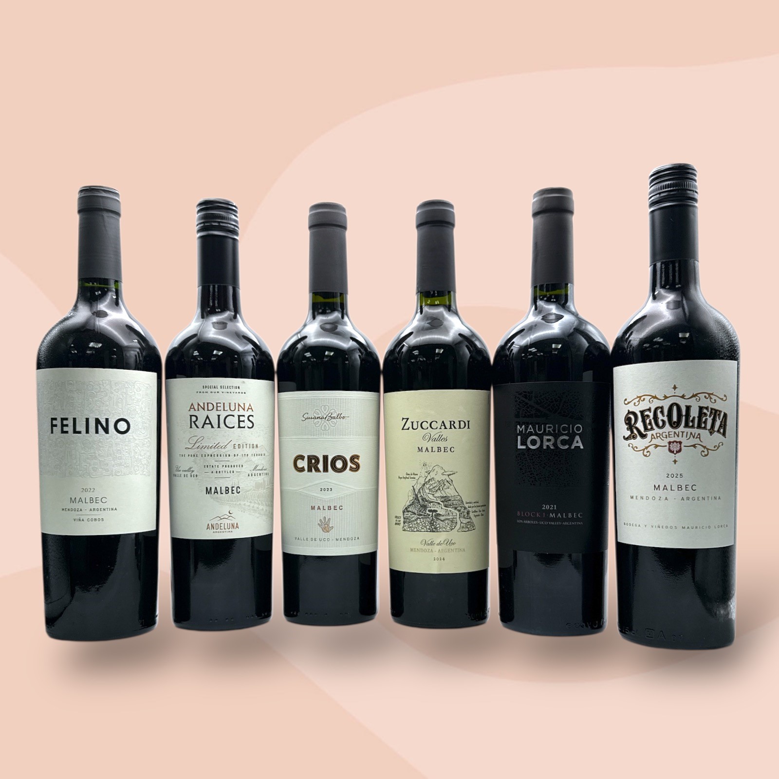 6 MAGNIFICENT MALBECS NO. 02 Mixed Case x 6 Bottles Image