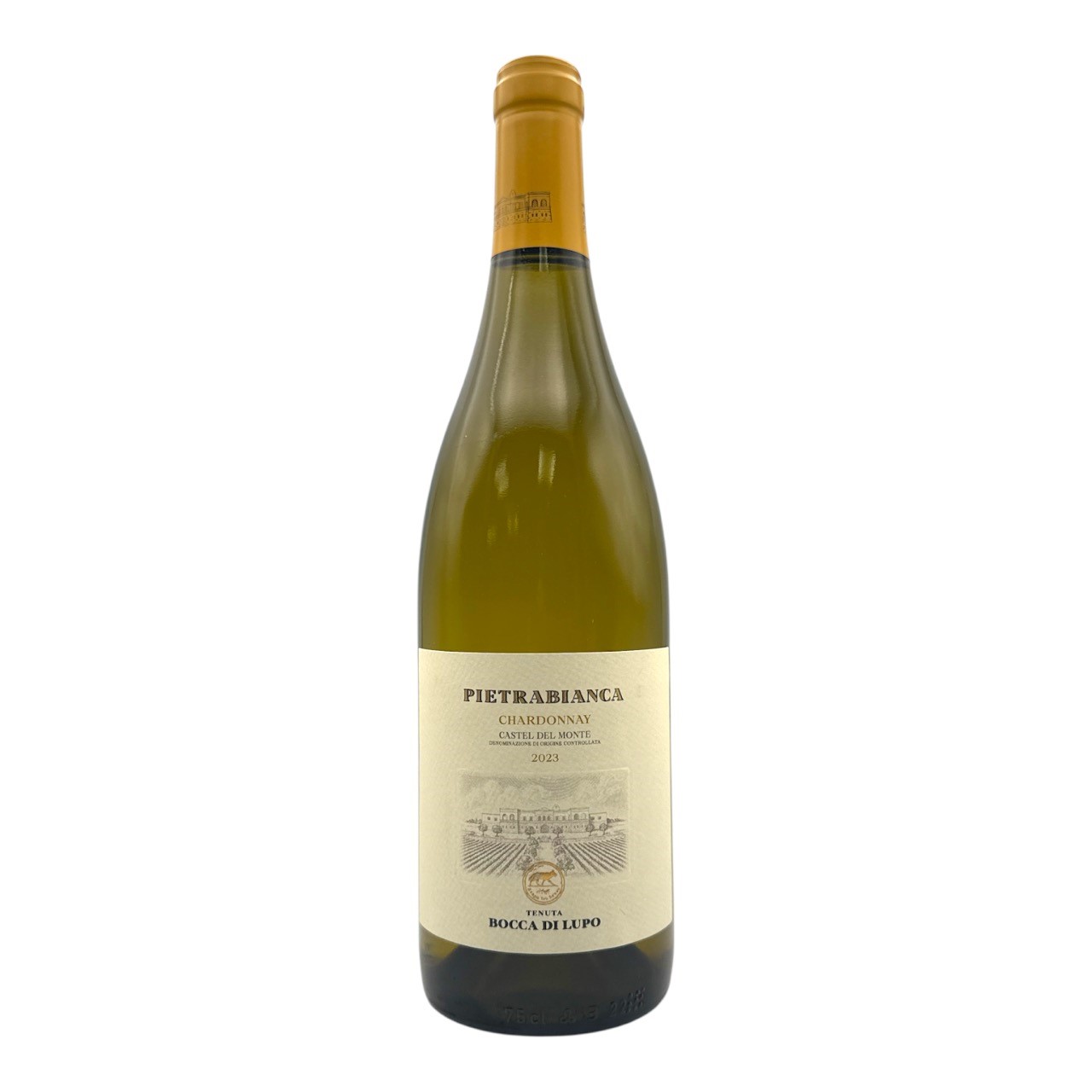 ANTINORI Chardonnay 'Pietrabianca 'Castel de Monte Tormaresca - Puglia 2023 Bottle ORG/BIO Image