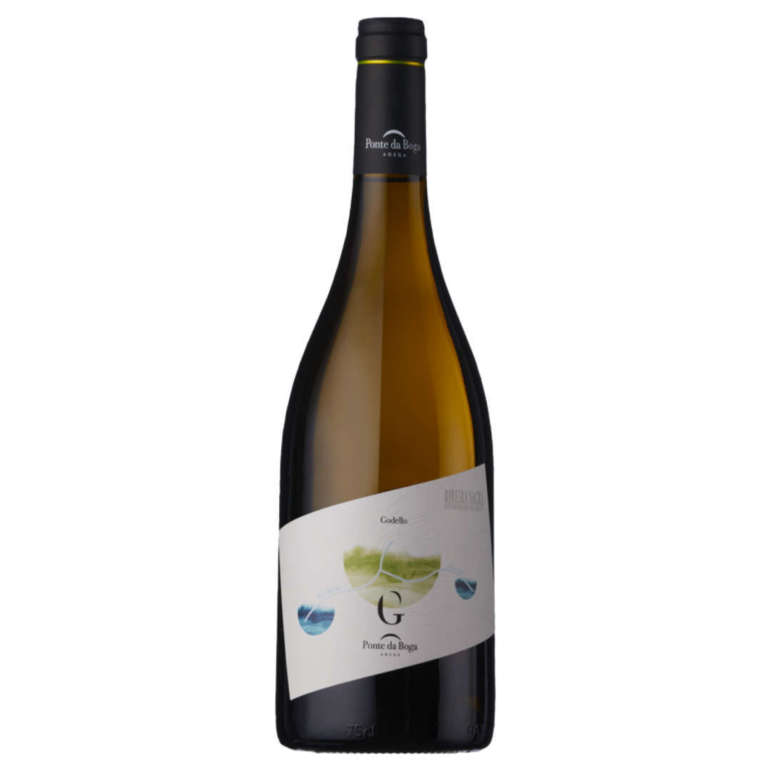 ADEGA PONTE DA BOGA Godello - DO Ribeira Sacra 2024 Bottle Image