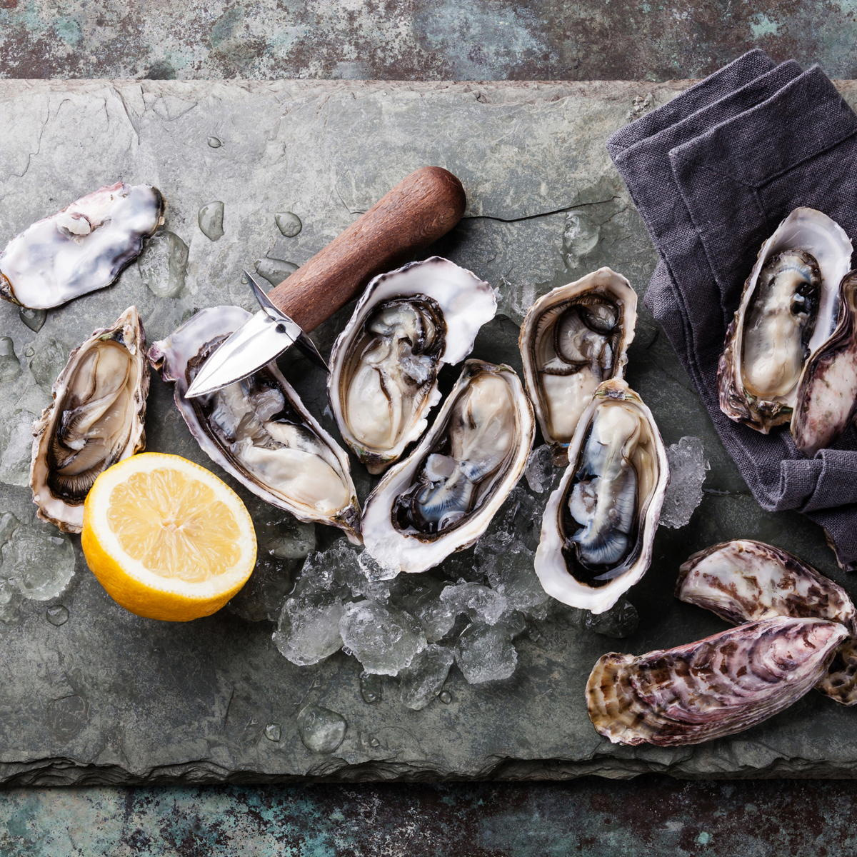 Oysters2