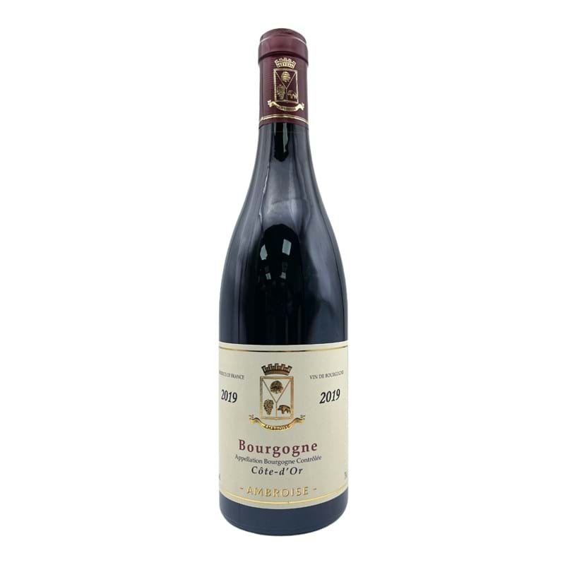 BERTRAND AMBROISE Bourgogne, Cote d’Or 2019 Bottle (Pinot Noir) Image