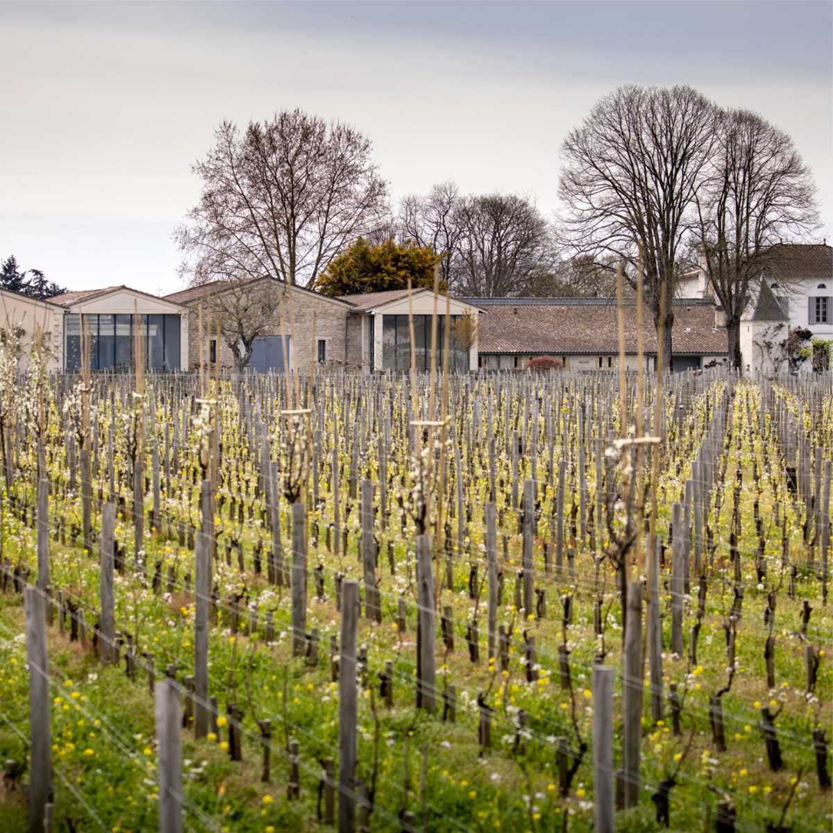 quinault l enclos