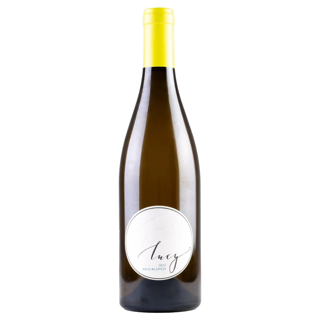PISONI Lucy Pico Blanco - Santa Lucia Highlands 2023 Bottle Image