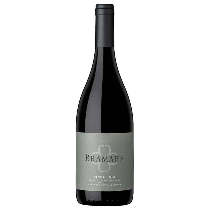 VINA COBOS Pinot Noir, Bramare, Uco Valley 2019 Bottle Image