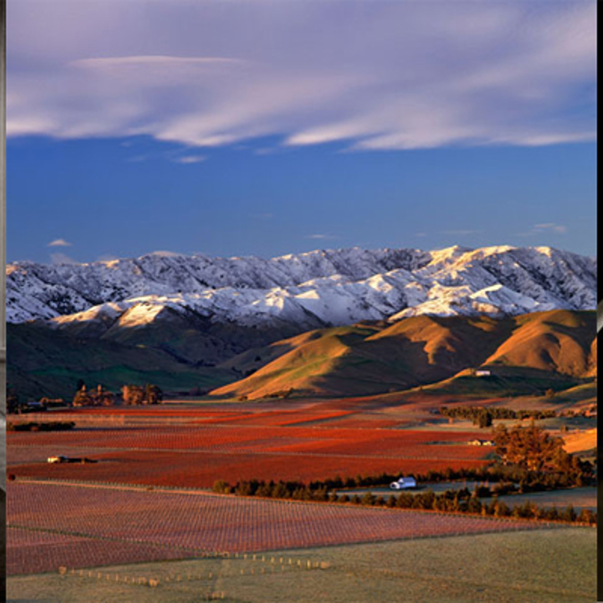 Greywacke Banner
