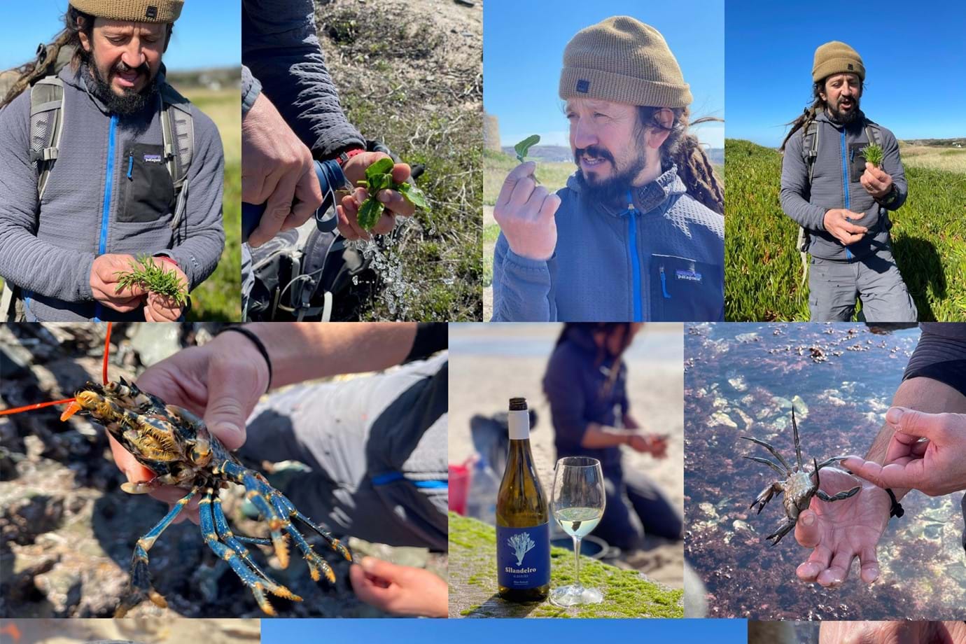 Coastal Foraging