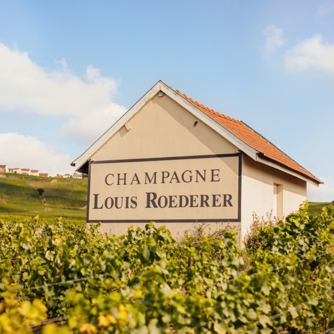 champagne roederer
