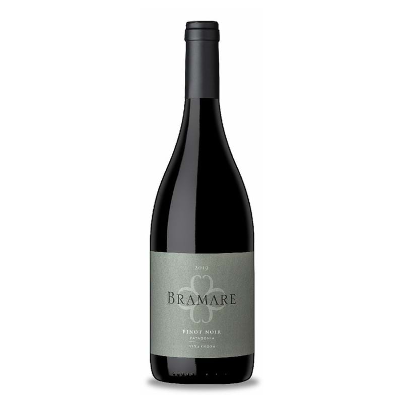 VINA COBOS Pinot Noir, Bramare, Patagonia 2019 Bottle Image