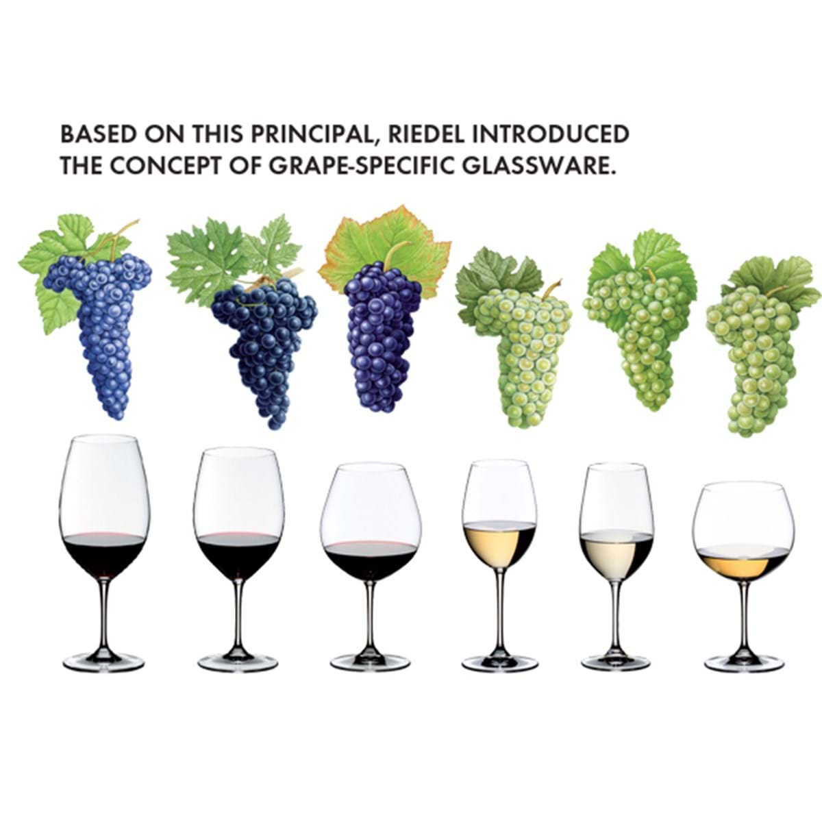 Riedel Glassware Shape2