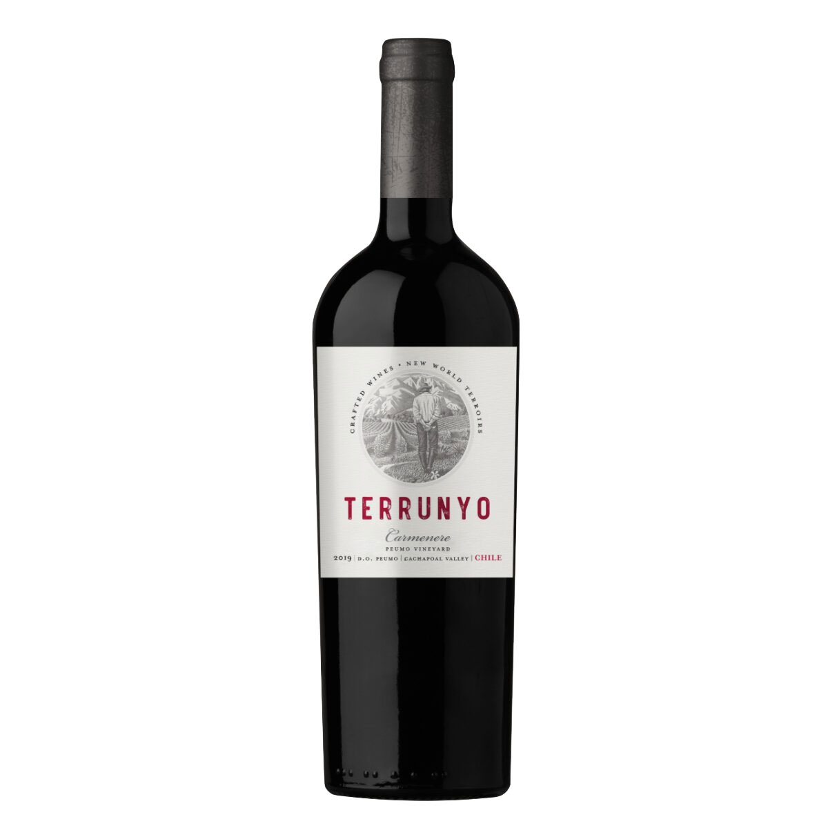 TERRUNYO Carmenere - Peumo Vineyard, Cachapoal Valley 2019 (23) Bottle Image