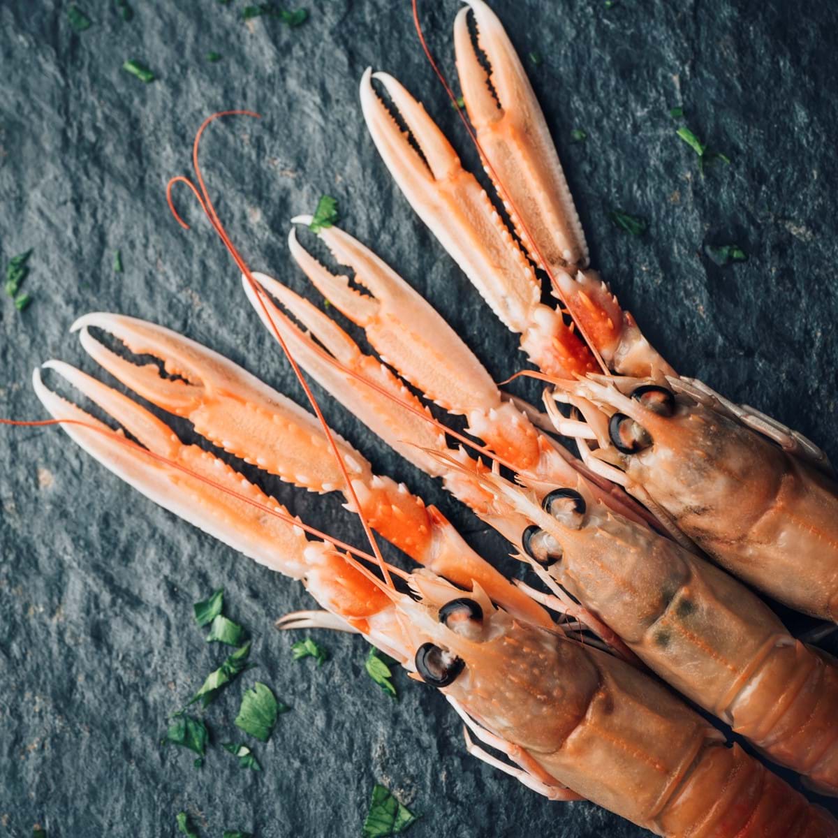 Langoustines